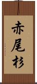 赤尾杉 Scroll