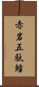 赤岩五駄鱈 Scroll