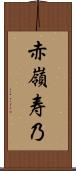 赤嶺寿乃 Scroll