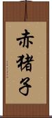 赤猪子 Scroll