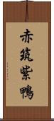 赤筑紫鴨 Scroll