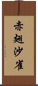 赤翅沙雀 Scroll