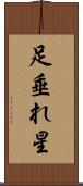 足垂れ星 Scroll