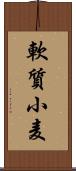 軟質小麦 Scroll