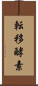 転移酵素 Scroll