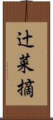 辻菜摘 Scroll