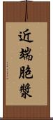 近端胞漿 Scroll