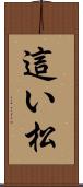 這い松 Scroll
