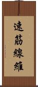 速筋線維 Scroll