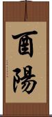 酉陽 Scroll