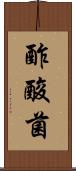 酢酸菌 Scroll