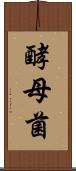 酵母菌 Scroll