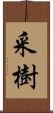 采樹 Scroll