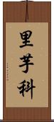 里芋科 Scroll