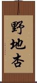 野地杏 Scroll