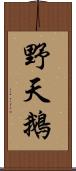 野天鵝 Scroll