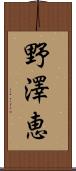 野澤恵 Scroll