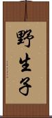 野生子 Scroll