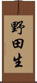 野田生 Scroll
