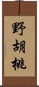 野胡桃 Scroll