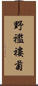 野襤褸菊 Scroll