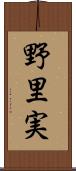 野里実 Scroll
