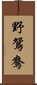 野鴛鴦 Scroll