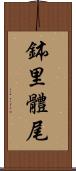 鉢里體尾 Scroll