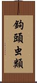 鉤頭虫類 Scroll