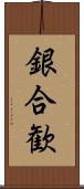 銀合歓 Scroll