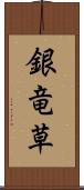 銀竜草 Scroll
