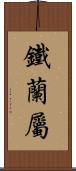 鐵蘭屬 Scroll