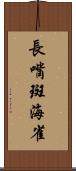 長嘴斑海雀 Scroll