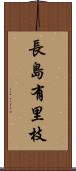 長島有里枝 Scroll