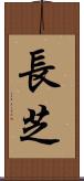 長芝 Scroll