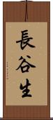 長谷生 Scroll