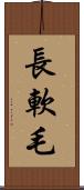 長軟毛 Scroll
