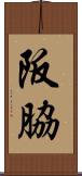 阪脇 Scroll