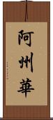 阿州華 Scroll