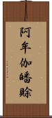 阿牟伽皤賖 Scroll