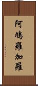 阿鳩羅加羅 Scroll