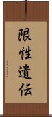 限性遺伝 Scroll