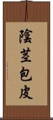 陰茎包皮 Scroll