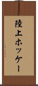 陸上ホッケー Scroll