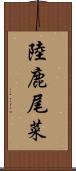 陸鹿尾菜 Scroll