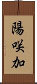 陽咲加 Scroll