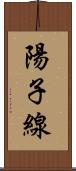 陽子線 Scroll