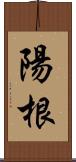 陽根 Scroll