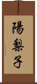 陽梨子 Scroll