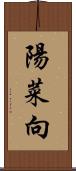 陽菜向 Scroll